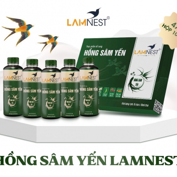 Hồng sâm yến