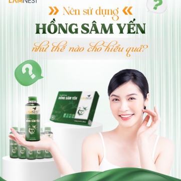 Hồng sâm yến