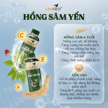 Hồng sâm yến